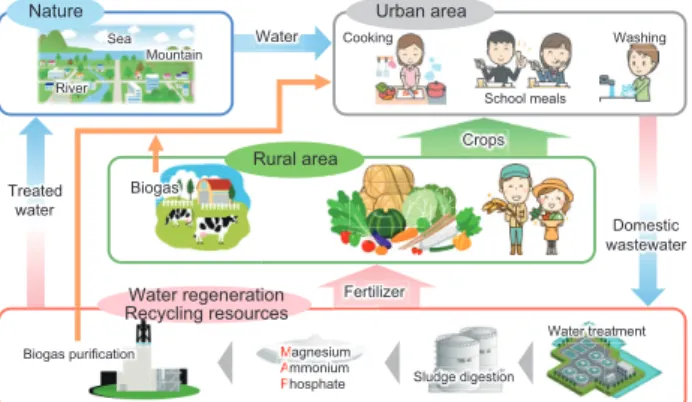 Fig. 2   Collaboration between agriculture and sewerage/high-quality phos- phos-phorus regeneration