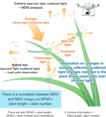 Fig. 5  Remote sensing by drone equipped with multi-spectral camera.