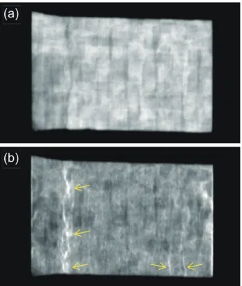 Fig. 9   Radiographic image of SiC composite material 8) , (a) absorption  image and (b) small angle scattering image