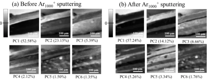 Figure  9.  Score  plots  of  principal  component  obtained  by  PCA  using  the  mean-centered  data