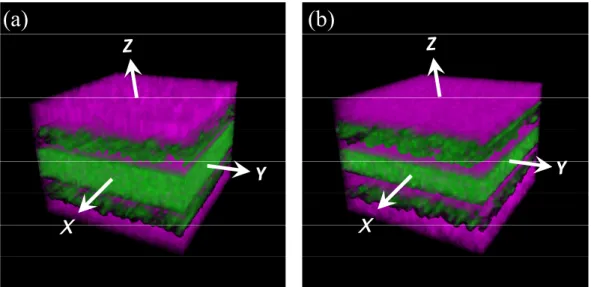 Fig. 7. Three dimensional images of CNO - (green) and C 2 H - (purple), (a) before and (b) after the scale correction