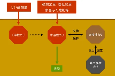 図   カ リ 質 肥 料 の 土 壌 中 で の 変 化   エ  石灰質肥料  石灰（カルシウム）は植物の必須元素であり肥料成分として重要であるが、石 灰質肥料は主に土壌の酸性矯正のための土づくり肥料として 施用される。このた め、石灰質肥料は酸性矯正の指標であるアルカリ分を保証する。アルカリ分は、 肥料中の石灰成分と苦土成分を石灰成分に換算した合計割合で表示する。  （ア）  炭酸苦土石灰            鉱石を砕いたもので、アルカリ分 55％で、苦土も含む。粉状の他、篩い分け により粒径を整え