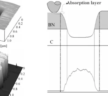 Fig. 12. Nanowear profile and current distribution of 4-nm nanoperiod (BN/C)n film. 