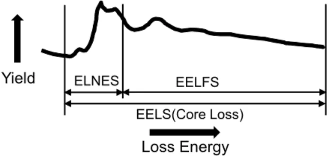 Fig. 2. Schematic spectrum of core loss EELS. 