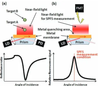 Fig. 2  Fabrication of the SPFS immuno-sensor chip.