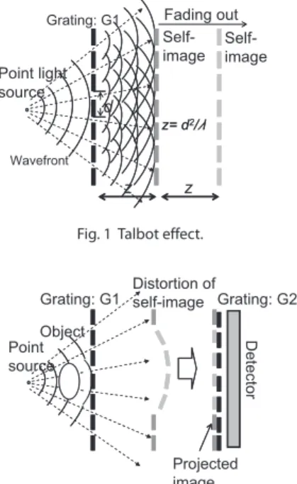 Fig. 2  Talbot interferometer.
