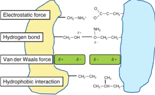 Fig. 1  Noncovalent molecular interaction.