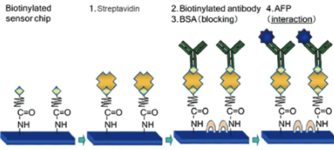 Fig. 10   Binding of streptavidin, biotinylated anti-AFP antibody, and AFP  to the sensor chip