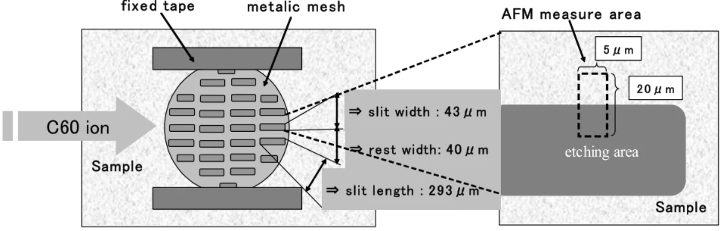 Fig. 5. SEM image of the polymer surface after etching with  C 60 +  ion and removal of the mesh
