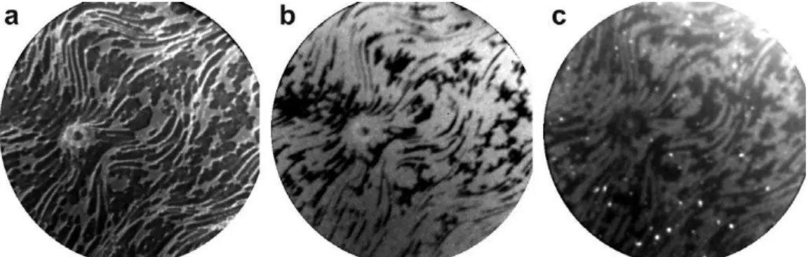 Fig. 11. Comparison of images produced by LEEM and PEEM of a submonolayer of Au on Ru(0001) (from Ref.28)