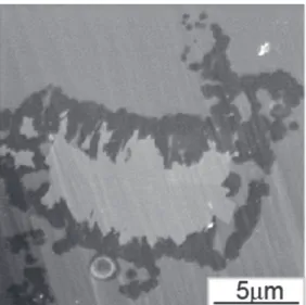 図 4 　 SiAlON 蛍光体含有 x=30 ガラスの SEM 像