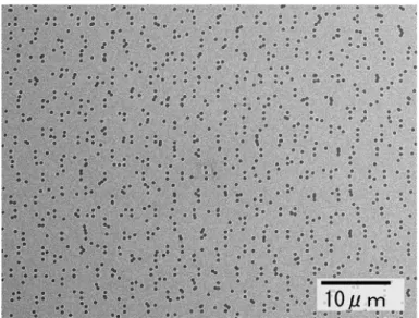 図 6　作製した準結晶ホログラムの表面 SEM 写真②材料によって削り具合も全く事なるため，穴が斜めになっていたり，バリが出て綺麗に加工できないといった事態も起こった．本来なら，この条件出しには長時間が必要となる．しかし，NPJ では松尾氏の助言の元，大西氏がこれまで蓄積したノウハウと，最低限の条件検討を行った上で，適切な材料選定を行い，問題を乗り越えた．③前述のように，微細加工で広い面積を均一に加工する事も簡単ではない．今回は EB 描画装置を使用したが，面積が広くなると，加工ビームの発射位置と加工位置と