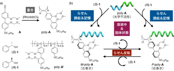 図 3　（a）ポリアセチレン誘導体（poly-A）の合成と光学活性アルコール（1）および共重合体（poly-A'）の構造式 （b）溶液中および固体状態での poly-A へのらせん誘起・記憶・反転の模式図つまり，効率的に光学分割を行うためには，エナンチオマーの溶出順序が非常に重要となる．溶出順序を逆転させる確実な方法として，互いに逆のキラリティを有する二種類のキラル固定相を使い分ける方法が挙げられる．しかし，溶出順序のみを自在に制御可能なキラル固定相は，これまで報告例はなかった．　一方，巻き方向の制御された