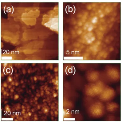 図 4 （a）真空加熱炉中で 1250℃で加熱を行った SiC(000-1) 面の STM 像． （b），（c）は（a） の STM 像中の点線部分の拡大図． （（b）と（c）は同じ STM 像であるが，（c）には説明のため図中にマークを記す．） （d）カーボンナノチューブと先端のカーボンナノキャップ．1200℃以上の加熱で基板表面に垂直方向に CNT が形成されることから，これらの半球状の構造体は CNT 先端の "カーボンナノキャップ "（図 4（d））に相当していると考えられる．図 4