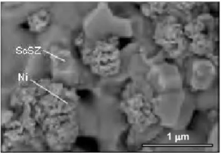 Fig. 5:  FESEM  micrograph  of  anode surface of nanostructured  Ni 0.95 Mn 0.05   /  ScSZ,  tolerant  to  the H 2 S-containing SOFC fuels