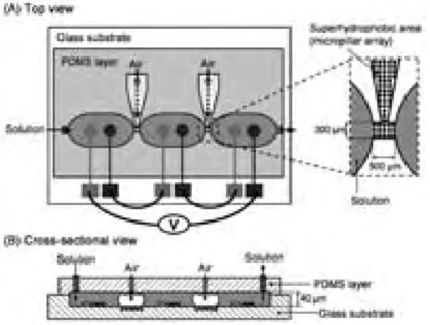 Fig. 3    Needle-Type Enzymatic Fuel Cell. 