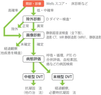 表 29  DVT の診断に関する推奨とエビデンスレベル（続き） を行う．臨床的に高確率の場合は D ダイマーが陰性でも DVT を否定できないため， D ダイマーを測定せずに画像 診断を行う 464, 514-521) ．また，施設により D ダイマー検査が 施行できない場合は，画像診断を行ってもよい（図15） 522) ．