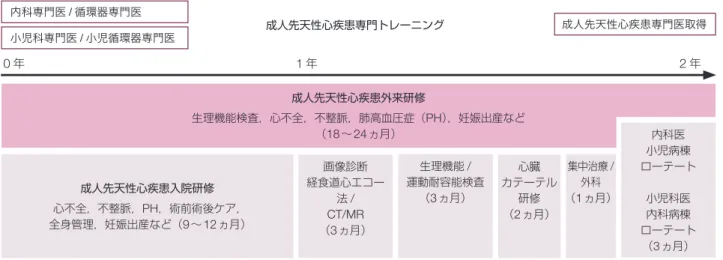 図 4  成人先天性心疾患の専門トレーニングのために必要と考えられる研修内容（案）
