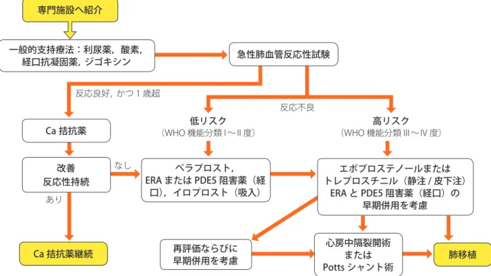 図 20  小児 IPAH/HPAH の治療アルゴリズム （Hansmann G, et al. 2016  511）  より改変）