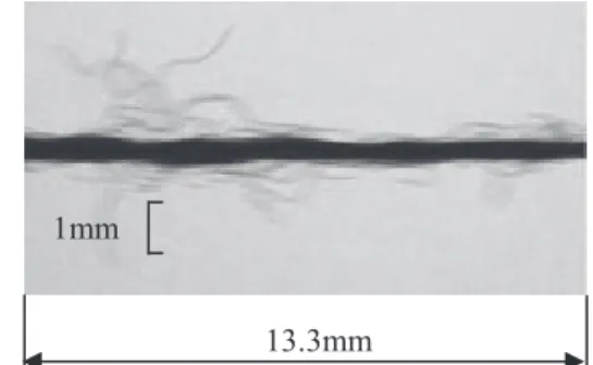 Fig. 3 Original yarn image on running condition.