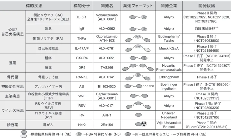 表 1　臨床開発段階のVHH 医薬品（文献 19より改変）