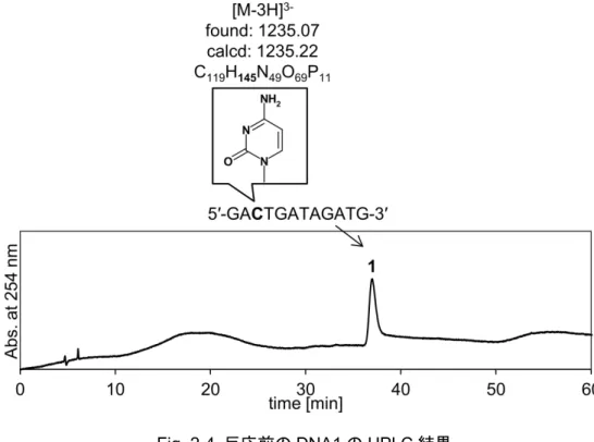 Fig. 2-5  反応前の DNA1 のピーク 1 における MS スペクトル結果