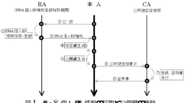 図 4 STR の座位数 n と ID の同値確率 P M の関係 Fig. 4 Relationship between STR loci combination counts