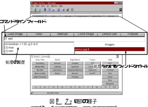 図 1 本システムを実行中の様子