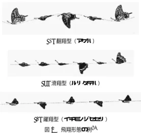 図 1 飛翔形態の例 9)