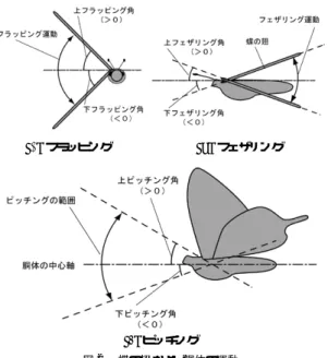 Fig. 2 Motion of the wing and the body of a butterﬂy.