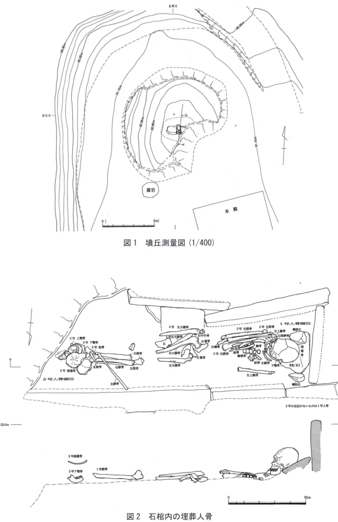 図 1　墳丘測量図 (1/400)