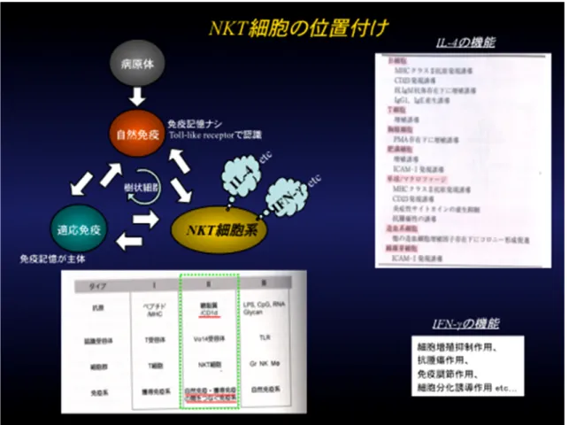 図 -1 NKT 細胞の位置付けとリガンド
