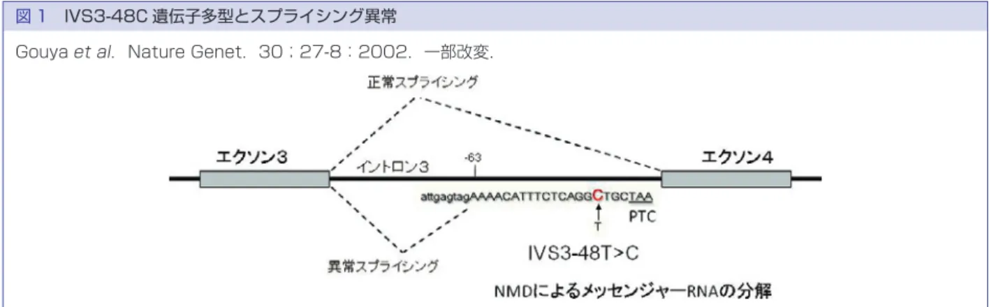 図 2 IVS3-48C 遺伝子多型で発症が規定される EPP 家系 M：変異，T：IVS3-48T，C：IVS3-48C， W：野生型 W T W TWC W C MCWTMCMC 図 1 IVS3-48C 遺伝子多型とスプライシング異常 Gouya et al．Nature Genet．30；27-8：2002．一部改変． では IVS3-48C のアリル頻度が 4 倍高い．従って，本邦 では EPP の浸透率が欧米より高いと考えられる． EPP の遺伝子診断で最も重要な点は潜在的 EPP 罹 患児を発