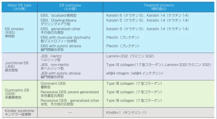 表 2 表皮水疱症（epidermolysis bullosa，EB）の分類（Fine et al.，J Am Acad Dermatol（2008）から引用） Major EB type （大分類） EB subtypes（小分類） Targeted proteins（標的蛋白） EB simplex （EBS） 単純型