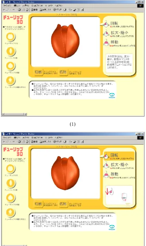 図 4.2 初心者用コンテンツ 