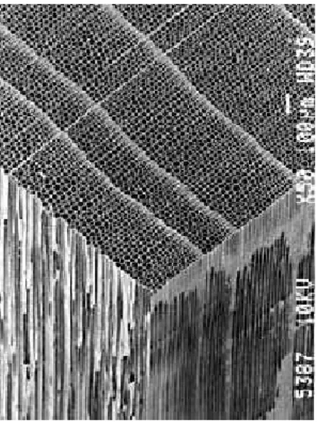 図 2.1: ヒノキ (針葉樹) の断面の拡大図 （ °森林総合研究所日本産木材データベースc [14]）  一方広葉樹は木目も不均一で材質的に硬く、加工がしにくいことから針葉樹ほど 建築材で使用されていないが木目が美しいことから内装材として使用されるケー スが多い [15]。そして広葉樹では幹も分かれることがあり、真っ直ぐでないケース が多い。また、細胞レベルでも導管と木繊維が分化していることから均一に細胞 が並んでおらず、大きさもばらつきが見られる。図 2.2はケヤキ（広葉樹）の細胞 を拡大した図を表し
