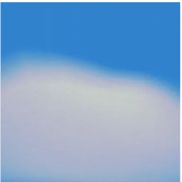 図 2.8: 重ねる曲面の数を 30 に設定した雲