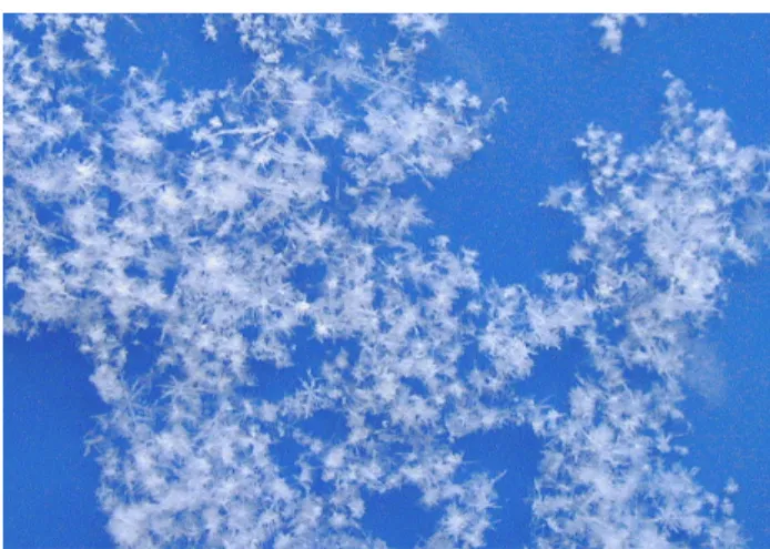 図 2.1: 雪粒子が複数個絡まりあったもの 生成され、様々な形状の雪に成長する。どの形状へと成長するかは、成長する時点 での周囲の気温と水蒸気量に関係する [9]。様々な形状の雪の結晶を示した写真を 図 2.2に示す [10]。基本的な雪の形状は、正六角形を基本形とした構造である。こ のような形状となる理由は、雪を構成する水分子の構造配列が正六角形の配列で 構成されているために、その配列が反映され、最終的に六角形の形状の結晶にな ると考えられているが、詳しいことはまだ判明していない [11]。 図 2.2