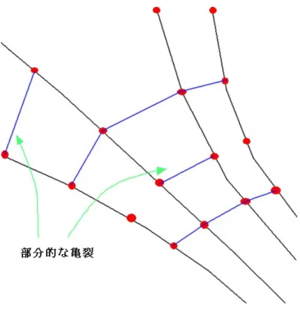 図 3.5: 部分的な亀裂