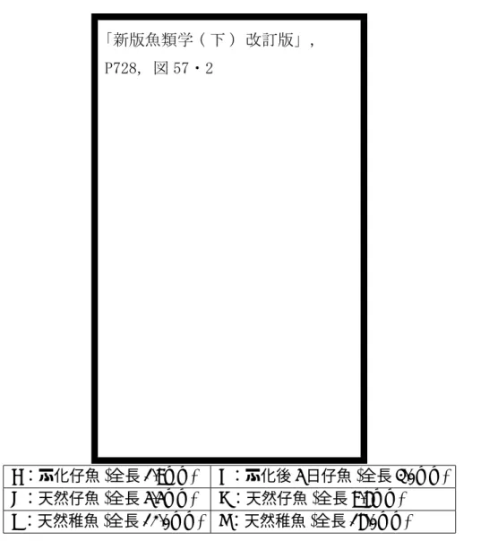 図 2.6: クロダイ仔稚魚の成長に伴う外部形態の変化 (庄島、1958； 水戸、1963・