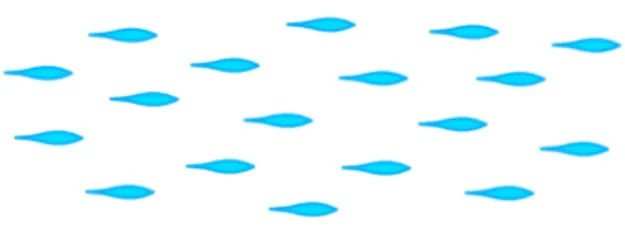 図 2.1: school 図 2.1 の school の状態は通常多くの魚が形成する群れの形である。しかし魚の 群れの中でもマイワシのような魚は図 2.1 で図示した群れの形以外にも群れを形成 する。 図 2.2 から図 2.4 は水族館で撮影したマイワシの群れの様子である。 図 2.2: マイワシの群れ（1） 図 2.3: マイワシの群れ（2） 図 2.4: マイワシの群れ（3） マイワシの群れは図 2.2 から図 2.4 のように複数の魚が密集して群れを形成して いる。このとき群れに加わる魚の数は数