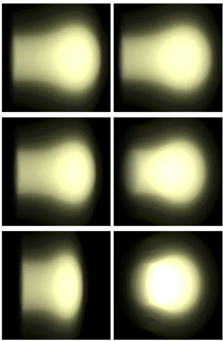 図 5.4: テクスチャとボリュームレンダリング