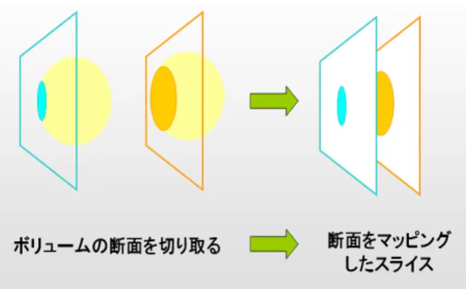 図 3.5: ボリュームを切り取る位置によって断面が変化 通常は対応した座標同士は一様に決定するが、あえて対応する座標同士を個別 に変化させる事で規則性を乱すことは可能である。 3.9 加算ブレンディング ボリュームテクスチャを張ったスライスを、視点の位置から遠い順に順次加算ブ レンディングする。加算ブレンディングとは画像同士を重ね合わせるときに、透 明度を表す α 値に基づいて色を足し合わせる処理である。加算ブレンディングを 用いて画像を重ねる事で、ピクセルの透明度を考慮した画像を得る。以上がテク スチャ