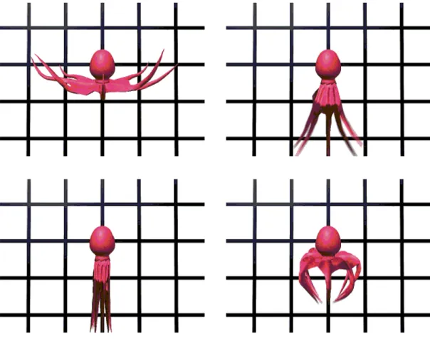 図 2.2: 一連の遊泳動作