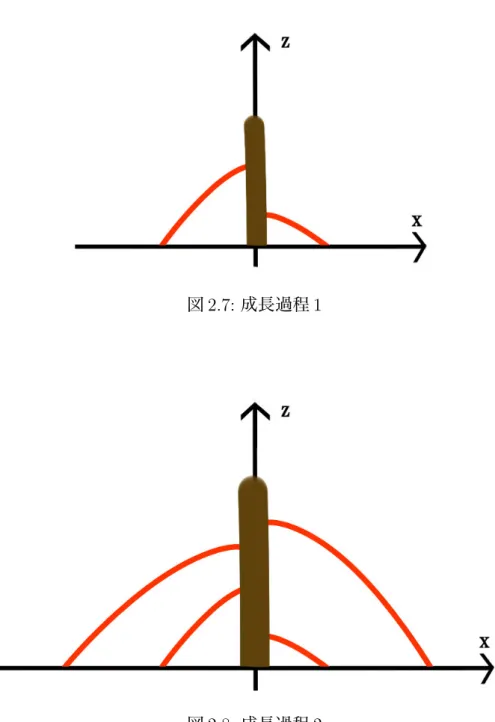 図 2.7: 成長過程 1