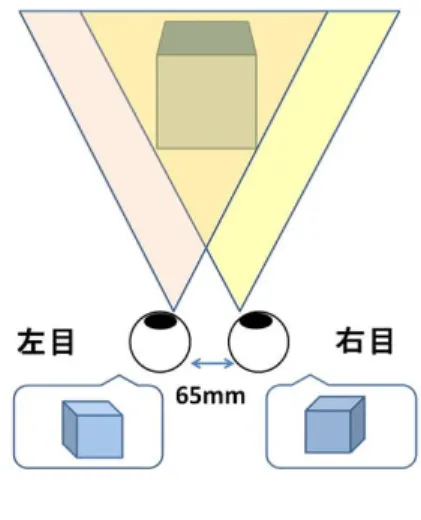 図 2.1: 両眼視差のイメージ図 専用の眼鏡を利用した立体視にはいくつか種類があり、カラーフィルタ方式、偏 光フィルタ方式、液晶シャッター方式等が存在する [18][19] 。カラーフィルタ方式 は赤や青などのフィルタを用いた眼鏡を用いて立体視を行う。偏光フィルタ方式 は、偏光という波の振動面が偏った光を利用し、左右の眼に違った映像を映し出 す方式である。液晶シャッター方式は時分割で右目用と左目用の画像を交互に表示 して立体視を行う方法である。図 2.2 は液晶シャッター方式の画像を交互に描画す るイメー