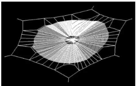 図 4.7: 45 回の巻き数のクモの巣形状 図 4.8: 収縮率 10 ％を代入して生 成したクモの巣形状 図 4.9: 収縮率 40 ％を代入して生成したクモの巣形状 次に、基点の位置を調節し、辺の長さの違いで縦糸の張られる量に違いが見ら れるかを試した。図 4.10 では、左側の長い辺 A 上には 5 本の縦糸が、右側の短い 辺 B には 3 本の縦糸が生成できた。図 4.11 では、左側の長いアーチ糸となる辺 C に縦糸が 3 本張られているが、右側の短いアーチ糸となる辺 D に縦糸には 2 本の 