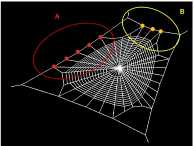 図 4.10: 枠糸上の縦糸 図 4.12: クモが張ったクモの巣 図 4.13: 本手法で生成したクモの 巣形状 4.2 考察 本手法では、パラメータによって様々な特徴を持つクモの巣形状を生成できた。 3 章で述べた条件として、最低 3 点の基点を持つところ、アーチ糸があること、横 糸がうずまき形状であること、縦糸が枠糸の長さによって本数が変化する点を挙げ た。更に、収縮率を考慮し、クモの巣形状が受ける影響を考慮することを挙げた。 まず、基点の数を最低 点から 点までの間で自由に生成することができた。生