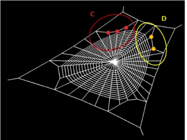 図 4.11: アーチ糸状の縦糸 成のアルゴリズムを調整すれば、より多くの基点を持つクモの巣形状を作ること が可能である。次に、アーチ糸の生成も行うことができた。現在は各接糸点を中 心に全ての場所に存在するが、稀にではあるが接糸点から直接縦糸が張られてい る場合があり、それを考慮した生成はできていない。次に、横糸がうずまき形状 を形成していることを確認できた。本研究では、縦糸の長さから割合で横糸の位 置を決めているだけであるが、大よそ実際のクモの巣の形状に近いばらつきも再 現できたと考える。次に、縦糸が枠糸