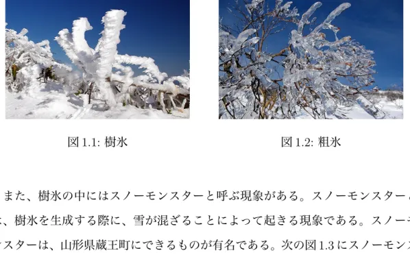 図 1.1: 樹氷 図 1.2: 粗氷 また、樹氷の中にはスノーモンスターと呼ぶ現象がある。スノーモンスターと は、樹氷を生成する際に、雪が混ざることによって起きる現象である。スノーモ ンスターは、山形県蔵王町にできるものが有名である。次の図 1.3 にスノーモンス ターの例を示す。 図 1.3: スノーモンスター 着氷現象の特徴として、針状やなめらかな形状といった形や、白色や半透明の 色がある。また、着氷現象は生成中に環境が変化することによって、形状や色が変 化する場合もある。着氷現象のビジュアルシミュレ